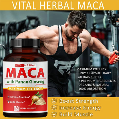 Maca Root with Panax Ginseng